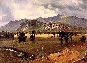 Albert Bierstadt Moat Mountain, Intervale, New Hampshire oil on canvas